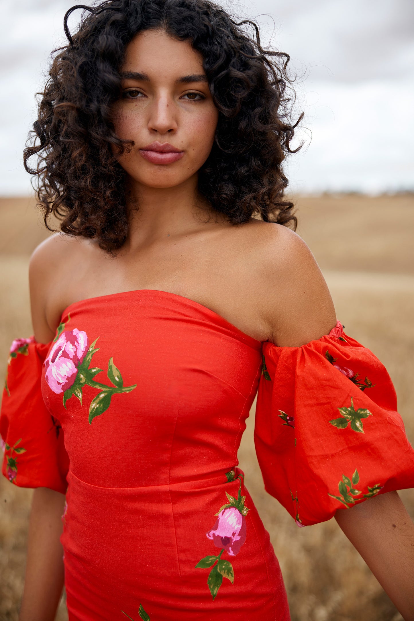 Evie Dress in Ruby Rose