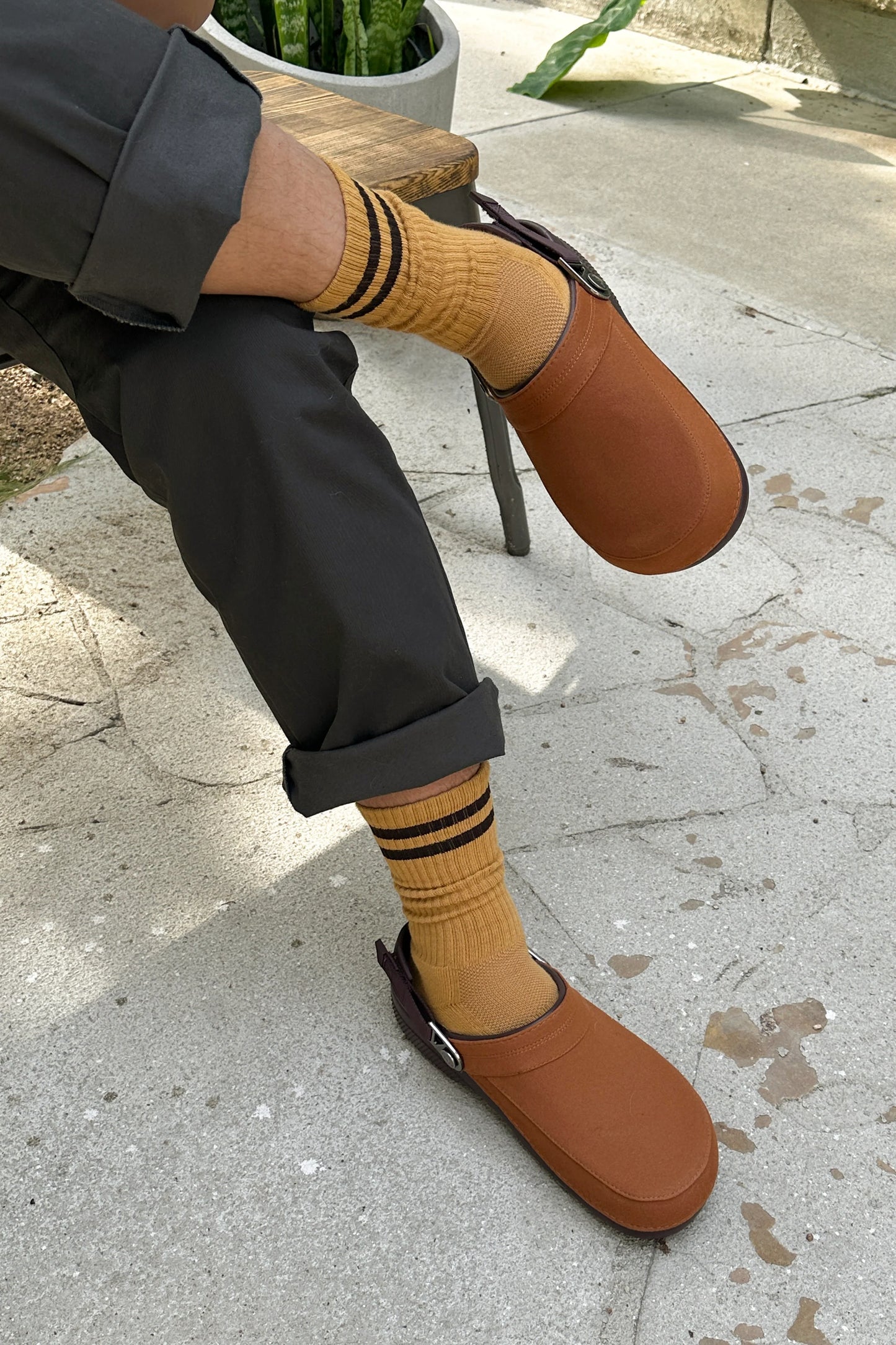 Boyfriend Sock Extended Biscotti