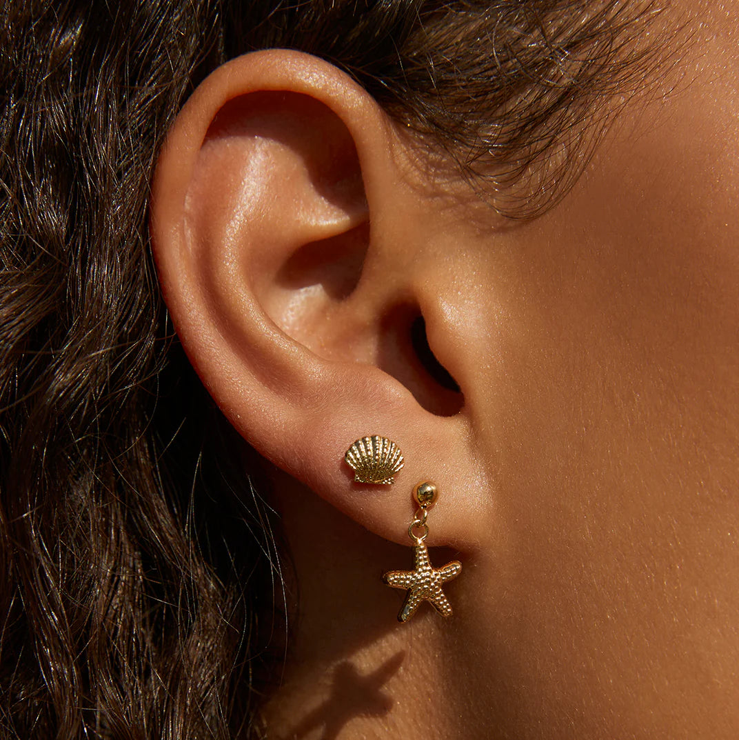 Shelli Gold Stud Earrings