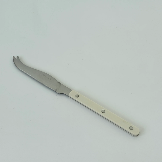 Remi Stainless Steel Cheese Knife Seafoam